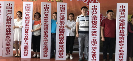 成都乐玩在线手机版（大中国区）集团生活电器有限公司党支部成立