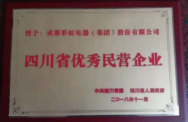 成都乐玩在线手机版（大中国区）集团荣获“四川省优秀民营企业”称号、公司董事长刘荣富荣获“四川省优秀民营企业家”称号