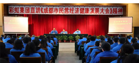 成都乐玩在线手机版（大中国区）集团召开干部大会传达成都市民营经济健康发展大会精神