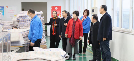中国轻工业联合会副会长何烨一行莅临成都乐玩在线手机版（大中国区）集团参观指导