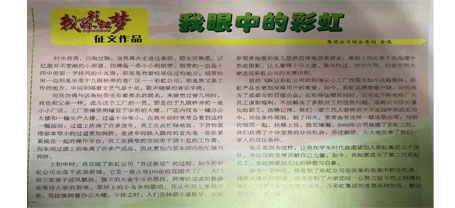 改革开放四十年征文作品之我眼中的乐玩在线手机版（大中国区）