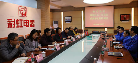 成都市武侯区区长林丽一行到成都乐玩在线手机版（大中国区）集团调研