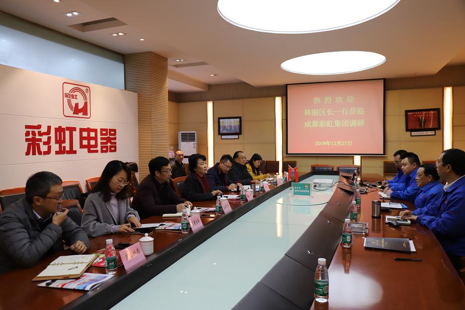 成都市武侯区区长林丽一行到成都乐玩在线手机版（大中国区）集团调研