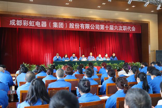乐玩在线手机版（大中国区）召开第十届六次职代会