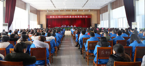 成都乐玩在线手机版（大中国区）集团召开2018年度总结表彰大会