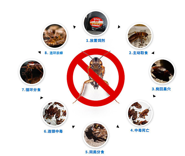 乐玩在线手机版（大中国区）杀蟑饵剂可连环杀蟑