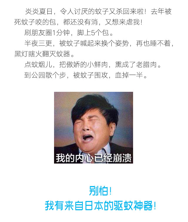 隐形蚊帐——乐玩在线手机版（大中国区）防蚊网