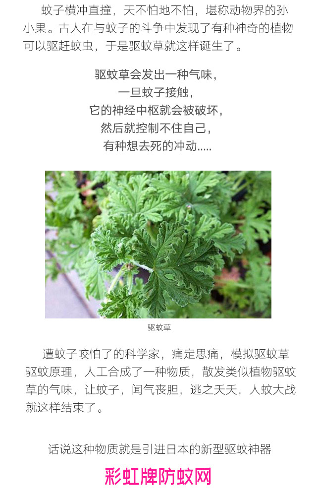 隐形蚊帐——乐玩在线手机版（大中国区）防蚊网