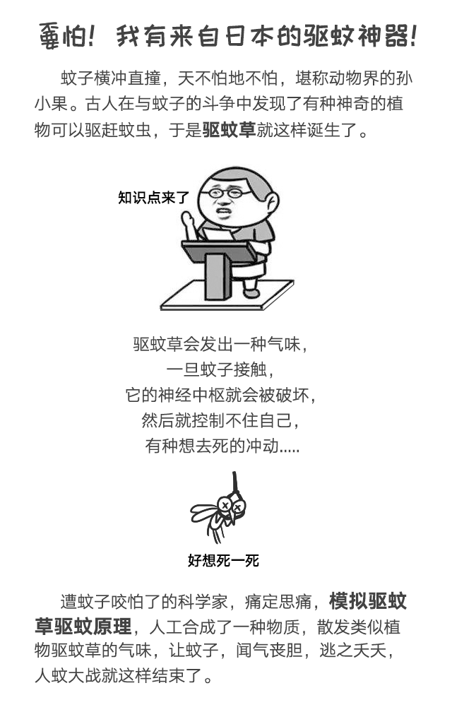 乐玩在线手机版（大中国区）防蚊网不惧日晒与风雨