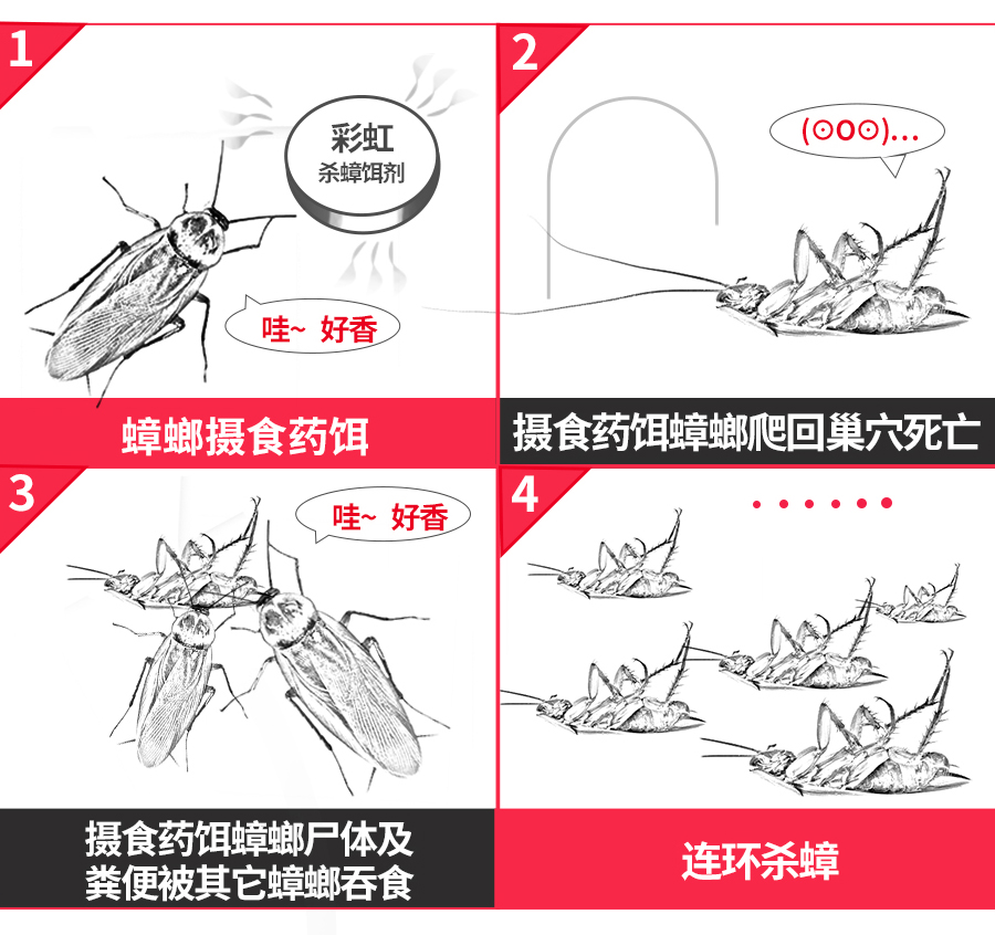 乐玩在线手机版（大中国区）杀蟑饵剂可连环杀蟑