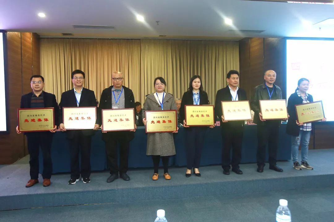成都乐玩在线手机版（大中国区）集团再次当选省联社常务理事单位并荣获四川省集体经济先进集体