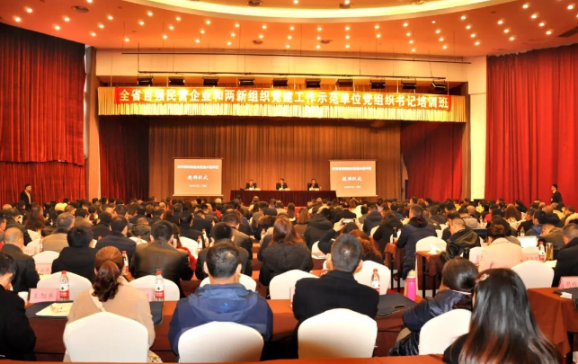 成都乐玩在线手机版（大中国区）集团荣获四川省民营企业党建工作示范单位荣誉称号