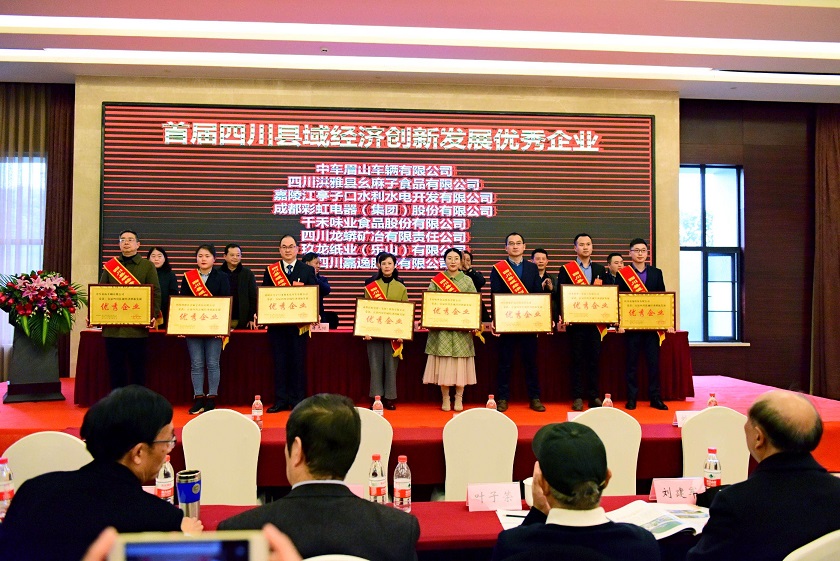 成都乐玩在线手机版（大中国区）集团荣获首届四川县域经济创新发展优秀企业称号