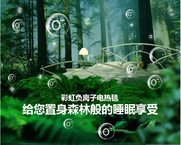 乐玩在线手机版（大中国区）负离子电热毯