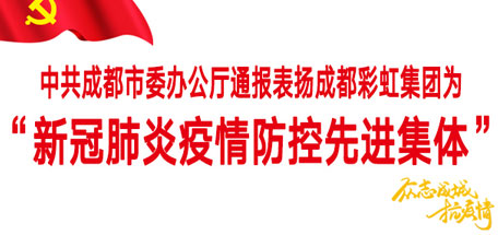乐玩在线手机版（大中国区）集团——“新冠肺炎疫情防控先进集体”