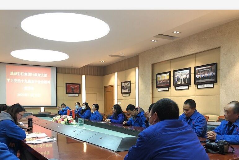 成都乐玩在线手机版（大中国区）集团行政党支部学习党的十九届五中全会精神座谈会