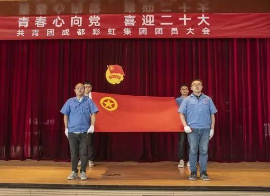 成都乐玩在线手机版（大中国区）集团召开2022年团员大会暨团委换届选举会议