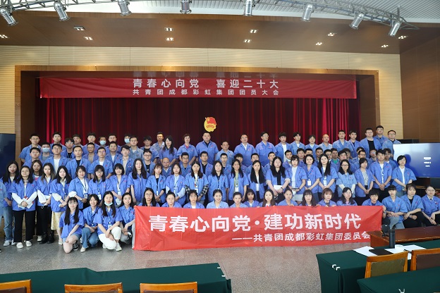 成都乐玩在线手机版（大中国区）集团召开2022年团员大会暨团委换届选举会议