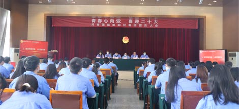 成都乐玩在线手机版（大中国区）集团召开2022年团员大会暨团委换届选举会议